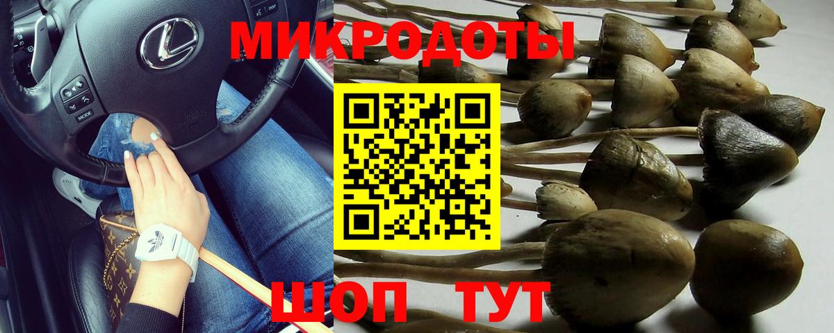Псилоцибиновые грибы MAGIC MUSHROOMS Партизанск
