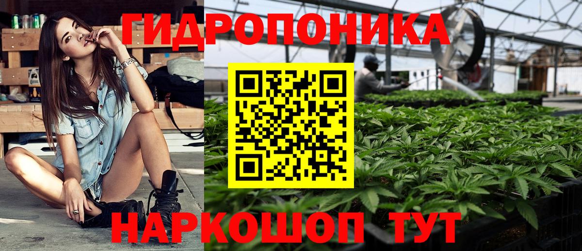 Партизанск  Конопля тримм  Вход с VPN  Бошки Шишки индика 